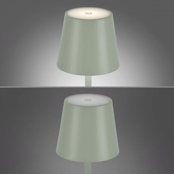 Lampă LED reîncărcabilă de exterior Leuchten Direkt 19250-43 EURIA LED/3W/5V IP54