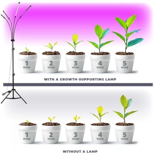 Lampadar LED dimabil pentru creșterea plantelor Brilagi VITABLOOM 4xLED/7,5W/230V
