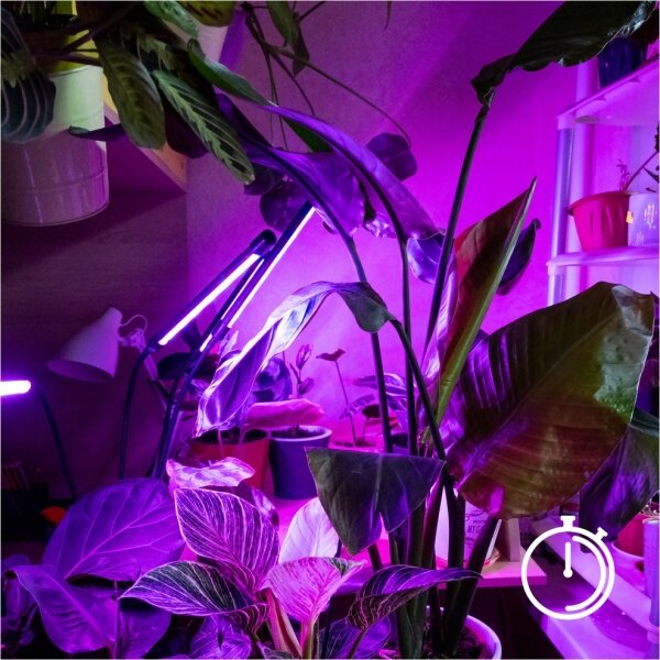 Lampadar LED dimabil pentru creșterea plantelor Brilagi VITABLOOM 4xLED/7,5W/230V