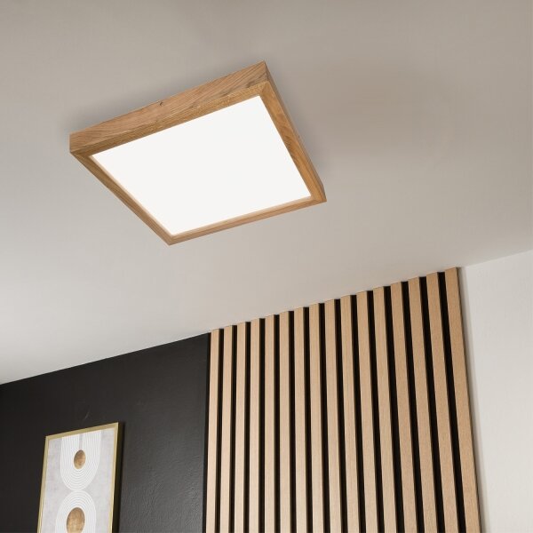 Brilagi - Plafonieră LED pentru baie WOODY FRAME, 40W, 230V, 60x60 cm, IP44, stejar