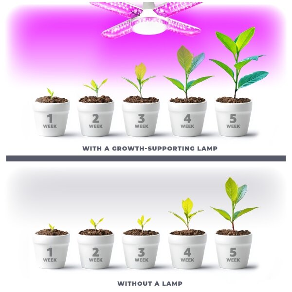 Bec LED pentru creșterea plantelor Brilagi VITABLOOM E27/40W/230V 1200K