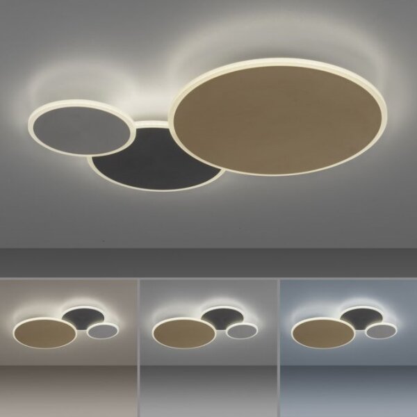 Paul Neuhaus Q-PIATO LED 35W 230V 2700-5000K dimabil cu DO