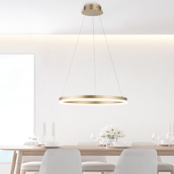 Lustră LED dimabilă pe cablu Paul Neuhaus 2382-60 TITUS LED/38,5W/230V