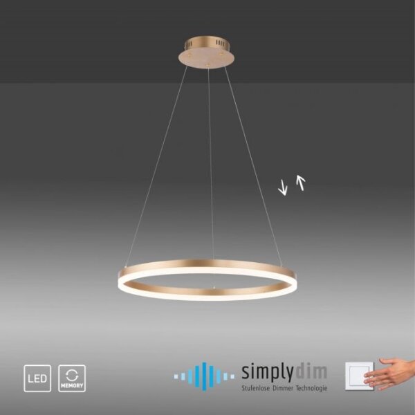Lustră LED dimabilă pe cablu Paul Neuhaus 2382-60 TITUS LED/38,5W/230V