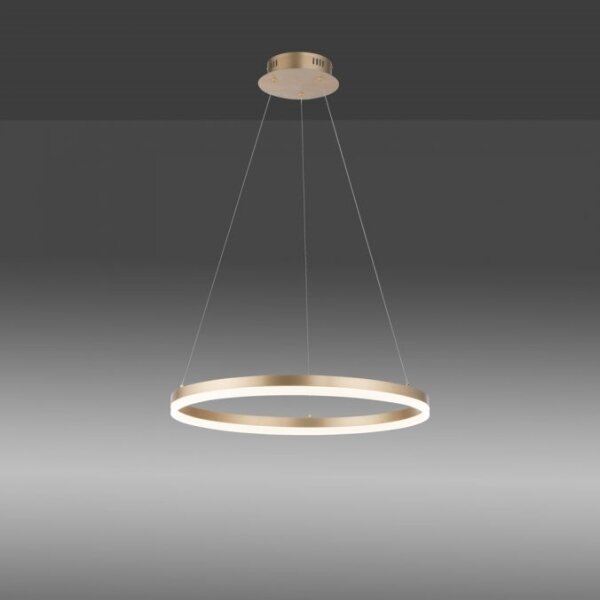 Lustră LED dimabilă pe cablu Paul Neuhaus 2382-60 TITUS LED/38,5W/230V