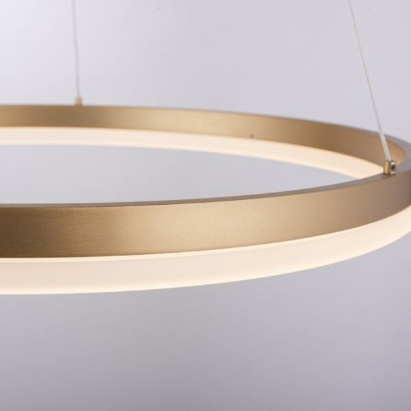 Lustră LED dimabilă pe cablu Paul Neuhaus 2382-60 TITUS LED/38,5W/230V