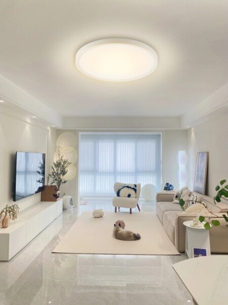 Plafonieră LED RGB dimabilă Immax NEO 07169-W60 TUDO 65W/230V Wi-Fi Tuya + telecomandă