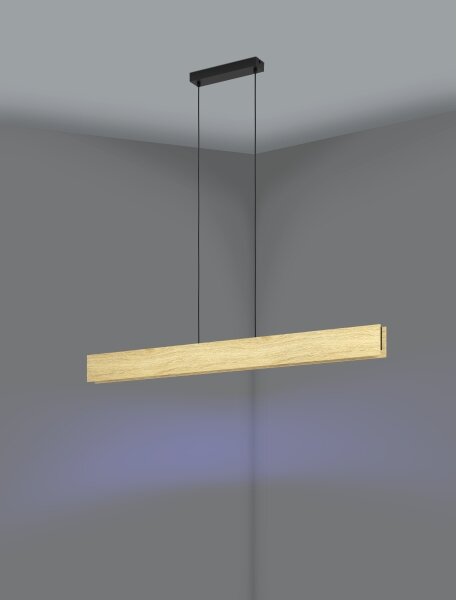 Lustră LED RGBW dimabilă pe cablu Eglo 900388 ANCHORENA-Z LED/35W/230V