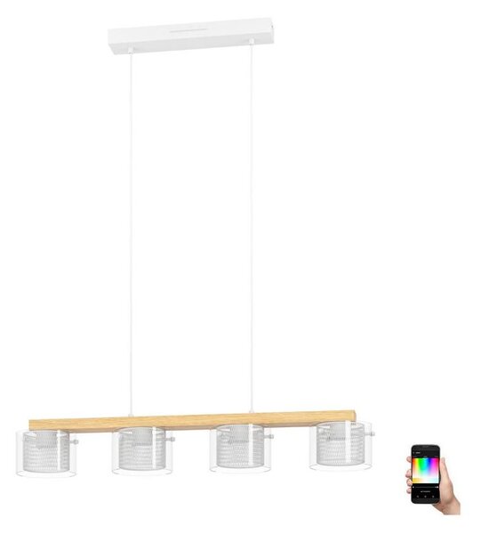 Lustră LED RGBW dimabilă pe cablu Eglo 900881 PORTICO-Z 4xLED/3,7W/230V