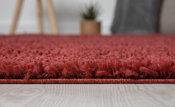 Covor My Shaggy visiniu 200/290 cm