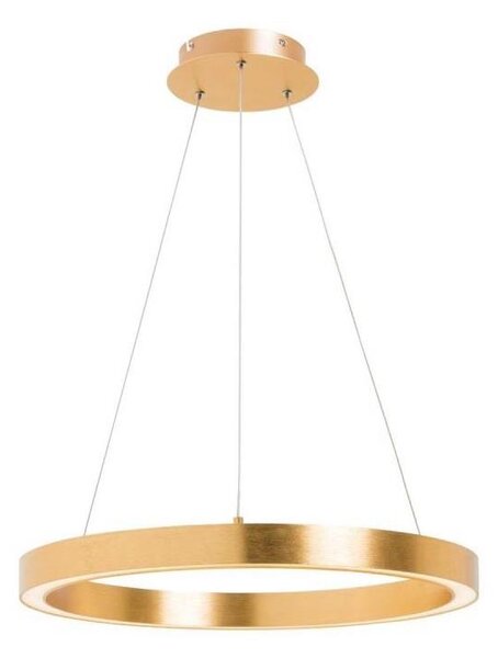 Zuma Line PL200910-400-GD - Lustra LED CARLO, suspendată pe cablu, 30W, 230V, 40 cm, auriu