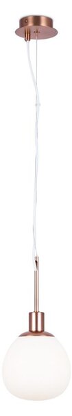Lustră pe cablu Maytoni MOD221-PL-01-G ERICH 1xE14/40W/230V cupru