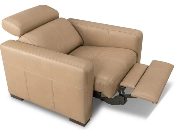 Fotoliu recliner Ergo din piele