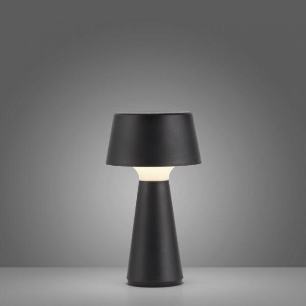 JUST LIGHT. 19260-18 - Lampă LED exterior dimabilă ABERA LED/3W/3,7V IP54