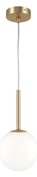 Lustră pe cablu Maytoni MOD321PL-01G1 BASIC 1xE14/40W/230V cupru