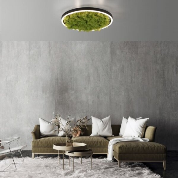 Plafonieră LED dimabilă JUST LIGHT. 15391-66 GREEN RITU LED/20W/230V