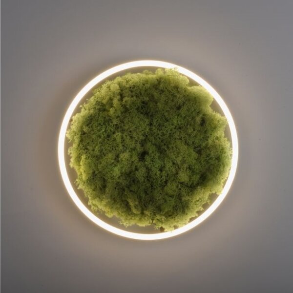Plafonieră LED dimabilă JUST LIGHT. 15391-66 GREEN RITU LED/20W/230V