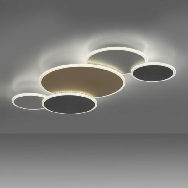 Plafonieră LED dimabilă Paul Neuhaus 8008-70 Q-PIATO LED/49W/230V 2700-5000K Wi-Fi + telecomandă