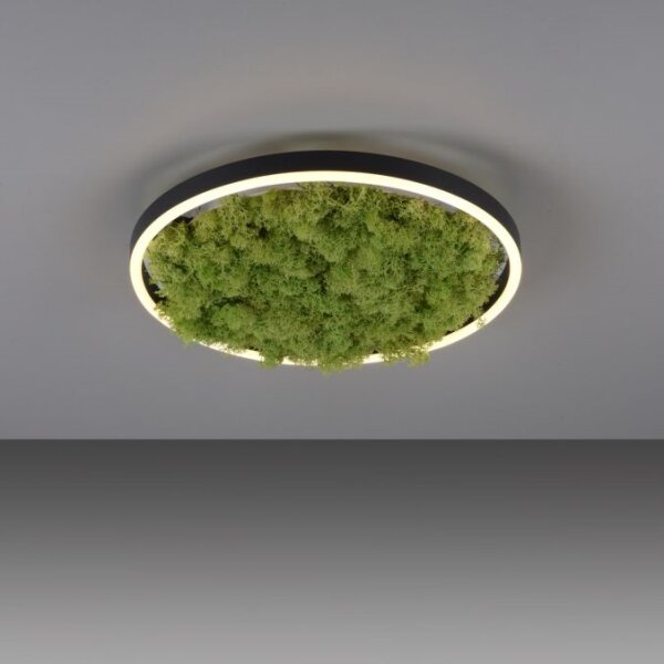 Plafonieră LED dimabilă JUST LIGHT. 15391-66 GREEN RITU LED/20W/230V
