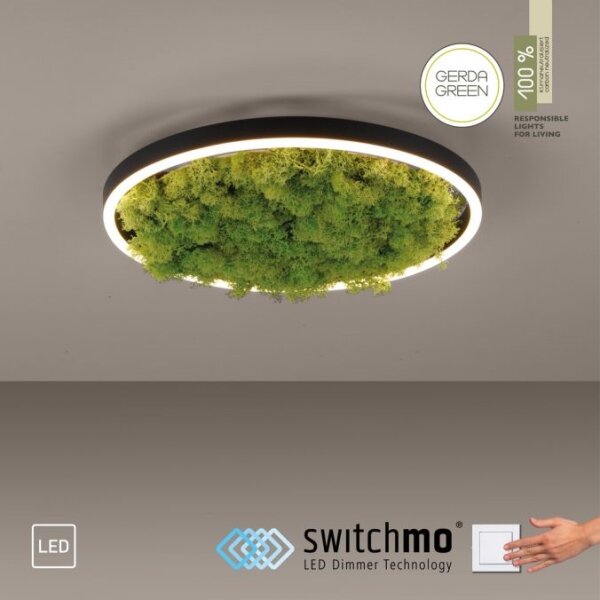 Plafonieră LED dimabilă JUST LIGHT. 15391-66 GREEN RITU LED/20W/230V