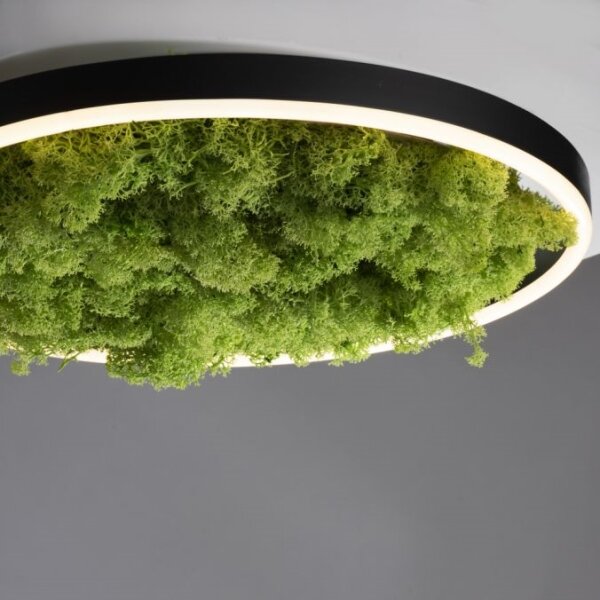 Plafonieră LED dimabilă JUST LIGHT. 15391-66 GREEN RITU LED/20W/230V