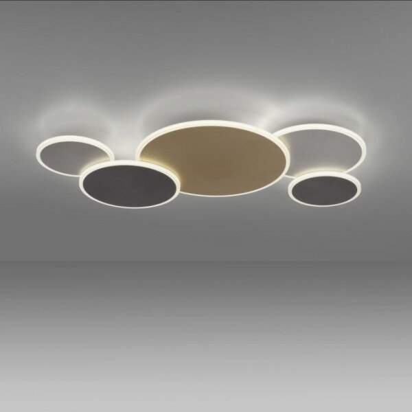 Plafonieră LED dimabilă Paul Neuhaus 8008-70 Q-PIATO LED/49W/230V 2700-5000K Wi-Fi + telecomandă