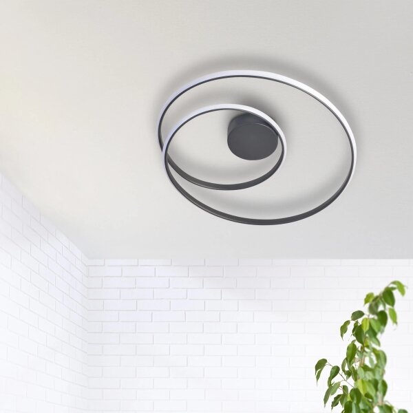 Plafonieră LED ZEFIRA LED/40W/230V 4000K d. 50 cm antracit