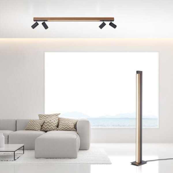 Spot LED dimabil Paul Neuhaus 6121-79 PURE 4xLED/4W/230V + LED/9W + telecomandă