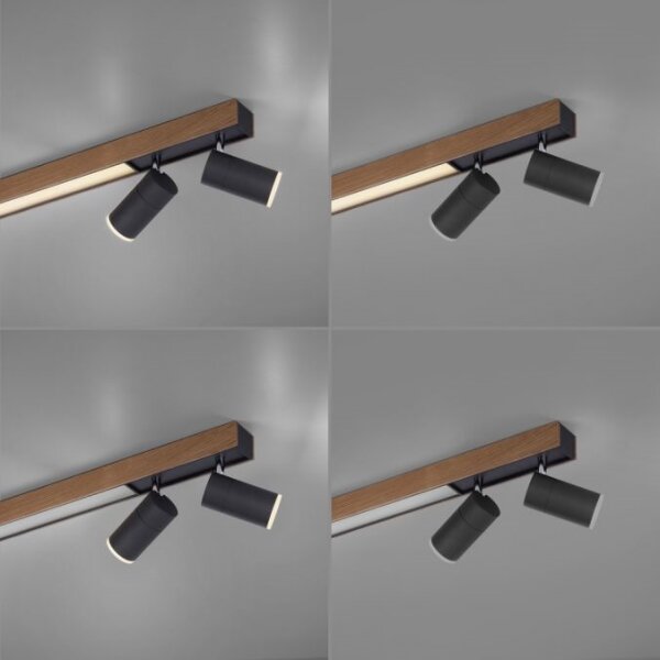 Spot LED dimabil Paul Neuhaus 6121-79 PURE 4xLED/4W/230V + LED/9W + telecomandă