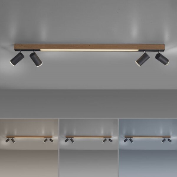 Spot LED dimabil Paul Neuhaus 6121-79 PURE 4xLED/4W/230V + LED/9W + telecomandă