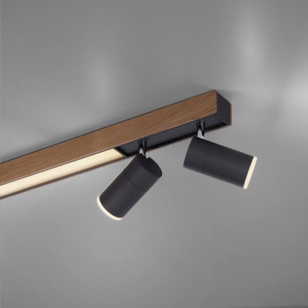 Spot LED dimabil Paul Neuhaus 6121-79 PURE 4xLED/4W/230V + LED/9W + telecomandă