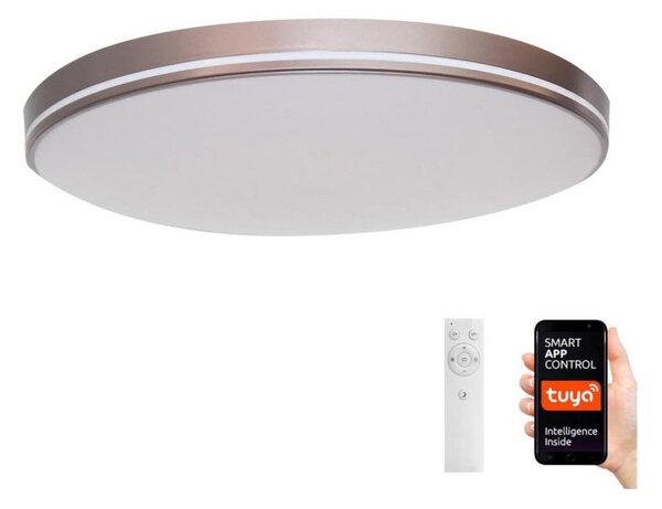 Plafonieră LED dimabilă NEO LITE AREAS 24W/230V Tuya Wi-Fi Immax NEO 07150-C40 + telecomandă