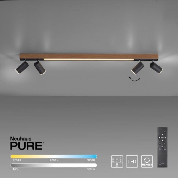 Spot LED dimabil Paul Neuhaus 6121-79 PURE 4xLED/4W/230V + LED/9W + telecomandă