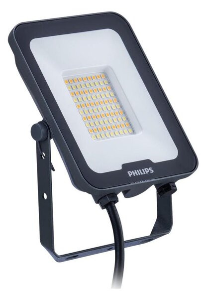 Proiector LED Philips LEDINAIRE ALL-IN LED/50W/230V 3000/4000/6500K IP65