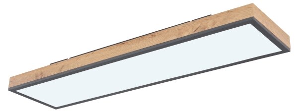 Plafonieră LED dimabilă Globo 416080WD4-CCT DORO LED/24W/230V + telecomandă