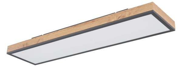 Plafonieră LED dimabilă Globo 416080WD4-CCT DORO LED/24W/230V + telecomandă