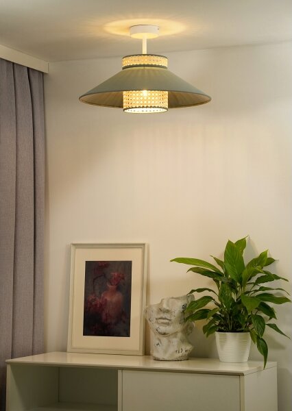 Lustră aplicată RIO Duolla RATTAN 1xE27/15W/230V d. 45 cm verde/ratan