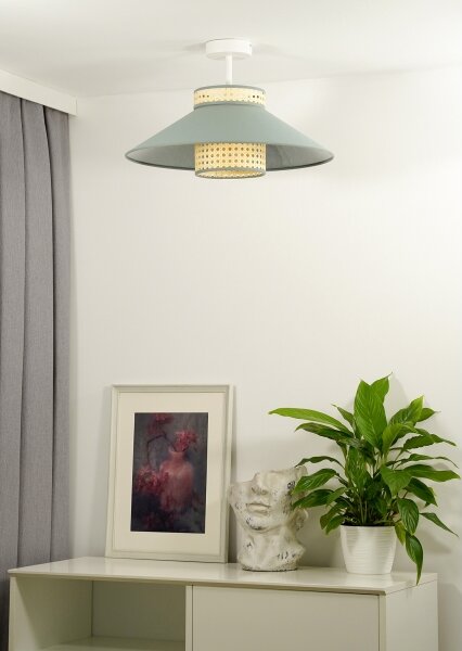 Lustră aplicată RIO Duolla RATTAN 1xE27/15W/230V d. 45 cm verde/ratan