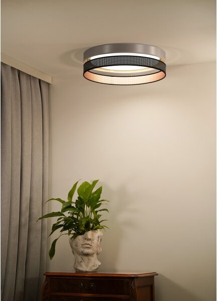 Duolla-Plafonieră LED ROLLER DUO SH. LED/24W/230V d. 45 cm argintiu/negru