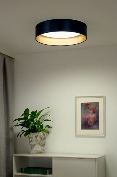 Plafonieră LED Duolla ROLLER LED/24W/230V d. 45 cm albastru/auriu