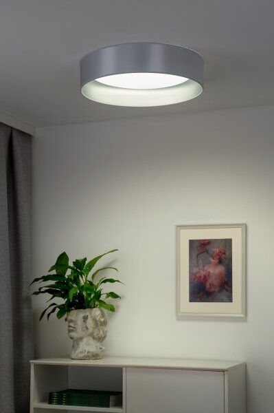 Plafonieră LED Duolla ROLLER LED/24W/230V d. 45 cm argintiu