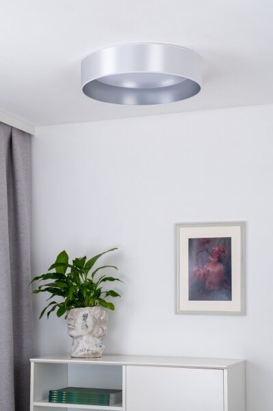 Plafonieră LED Duolla ROLLER LED/24W/230V d. 45 cm argintiu