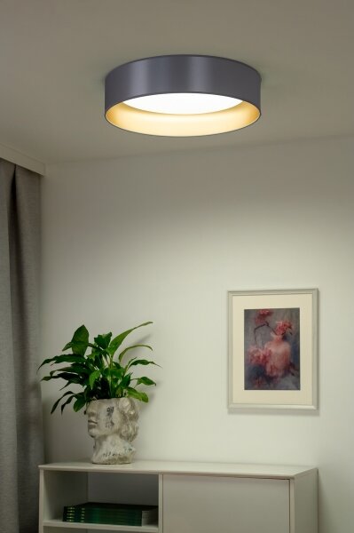 Plafonieră LED Duolla ROLLER LED/24W/230V d. 45 cm argintiu/auriu