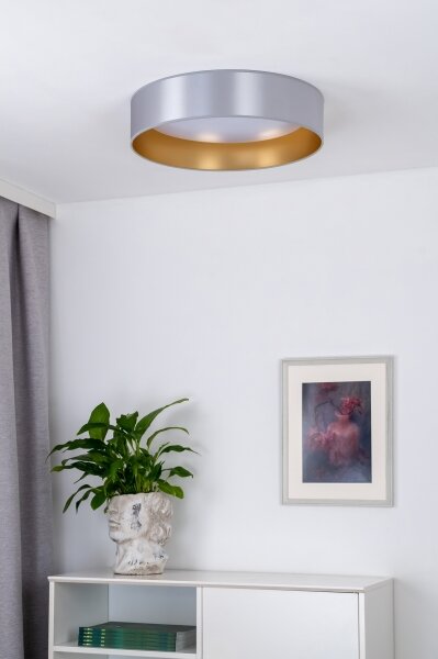 Plafonieră LED Duolla ROLLER LED/24W/230V d. 45 cm argintiu/auriu