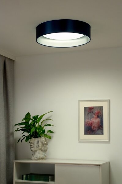 Plafonieră LED Duolla ROLLER LED/24W/230V d. 45 cm albastru/argintiu