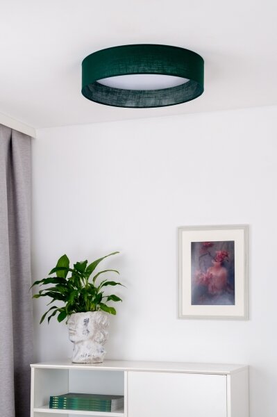 Plafonieră LED Duolla ROLLER LED/24W/230V d. 45 cm verde