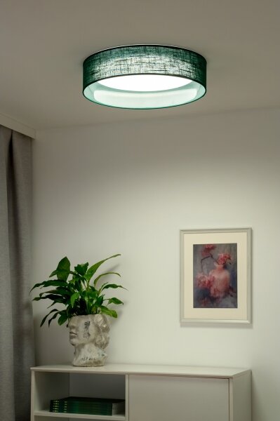 Plafonieră LED Duolla ROLLER LED/24W/230V d. 45 cm verde