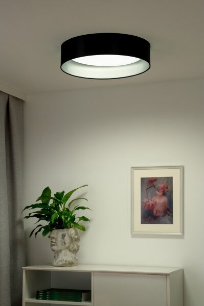 Plafonieră LED Duolla ROLLER LED/24W/230V d. 45 cm negru/argintiu