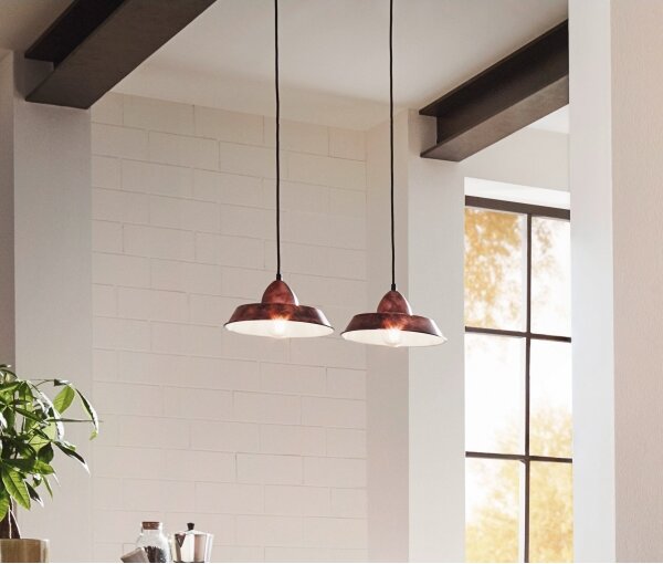 Eglo 49243 - Lustra AUCK lant 1xE27/60W/230V