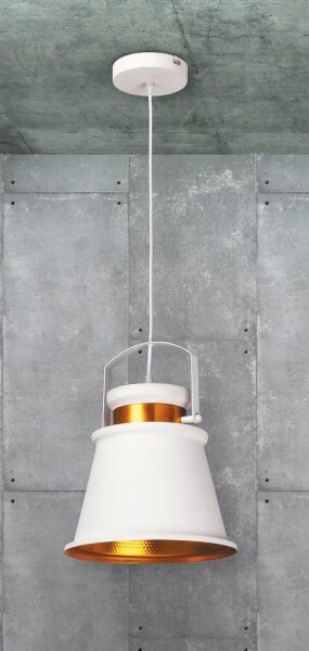 Rabalux 2571 - Lampa suspendata DUSAN E27/40W